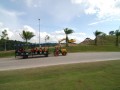 Tn DSC 6654